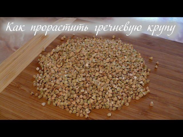 Как прорастить гречку и рецепт из нее