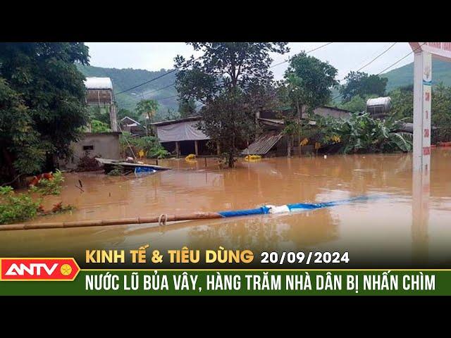 Hàng trăm hộ dân ở Quảng Bình bị cô lập trong nước lũ | Bản tin kinh tế và tiêu dùng ngày 20/9 |ANTV