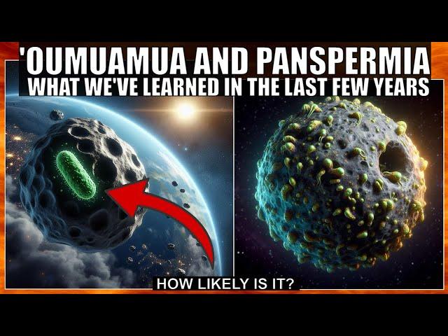 'Oumuamua Changed What We Believe About Panspermia