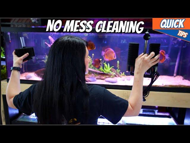 How To Clean Sponge Filters With NO MESS!