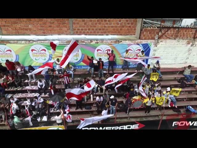 La barra brava de Always Ready