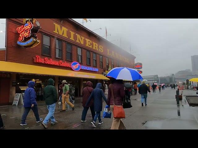 Seattle's NEW Waterfront (Rainy Day City Walk)