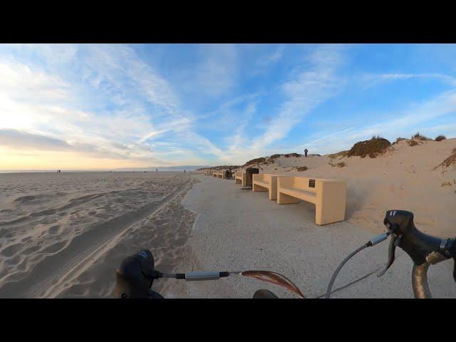Old Friends (Oxnard Beach Park, California)