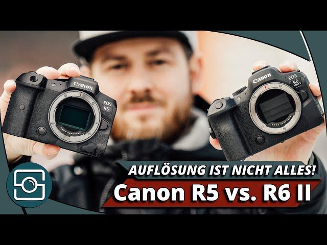 AUFLÖSUNG IST NICHT ALLES! Wieso die Canon R6 II besser als die R5 ist!