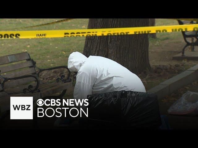 Violence on Boston Common is rising, say residents