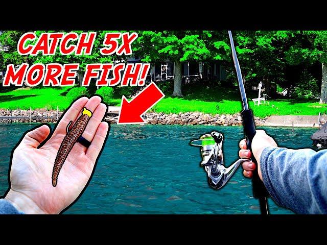 You'll NEVER Fish a Ned Rig the Same After Watching This!