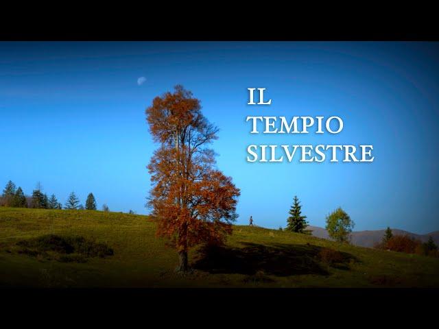 IL TEMPIO SILVESTRE