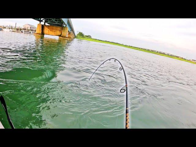 Kayak Fishing New Waters for an UNEXPECTED Bite!!! Bycatch Slam!