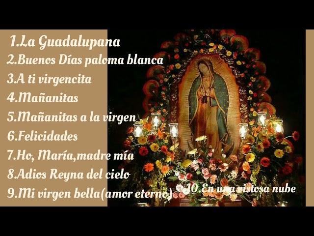 Cantos a la Virgen de Guadalupe