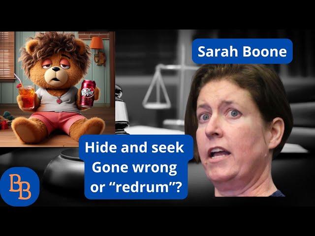 Fl V Sarah Boone Motions and Voir dire