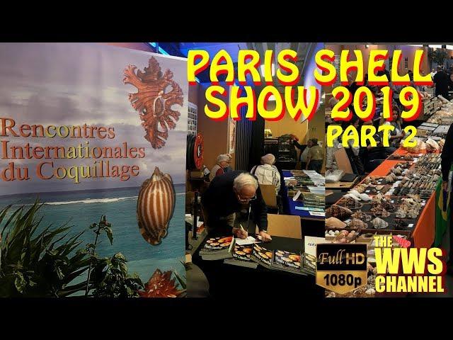 Thousands of seashells ! Paris Shell Show 2019 (France) Sea shell Collection (Part 2)