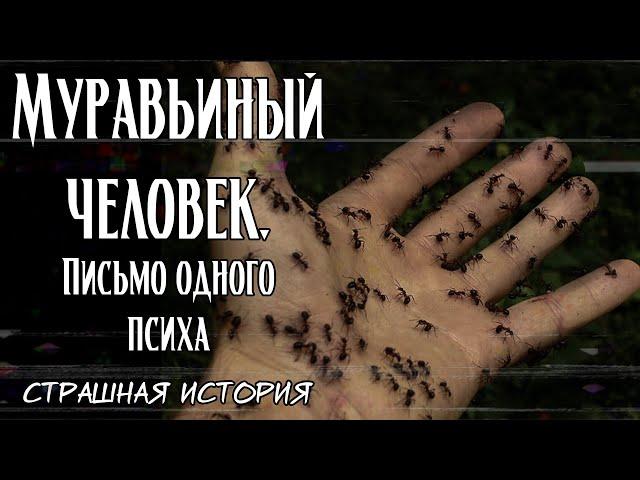 Муравьиный человек: письмо одного психа | Страшная история