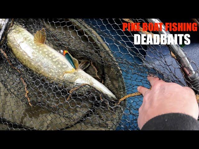 PIKE BOAT FISHING DEADBAITS VLOG 2