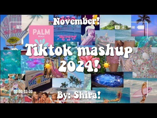 Tiktok Mashup 2024! ️