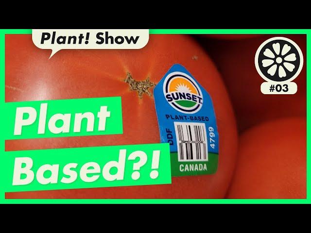 Plant Based? PLANTPOP's Plant! Show, Episode 3