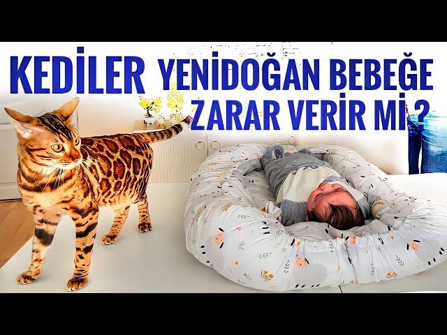 KEDİLER YENİDOĞAN BEBEĞE ZARAR VERİR Mİ?MİNTİK'İN BEBEĞİMİZLE İLK KARŞILAŞMASI TEPKİSİ ALIŞMA SÜRECİ