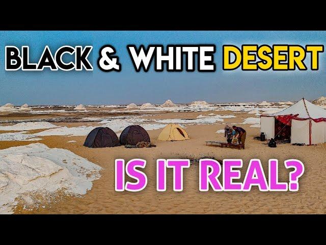 Black Desert and White Desert EGYPT || Desert Safari and Night Camping in Sahara Desert