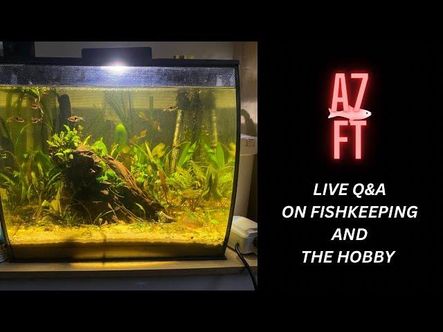 Adam7FishTanks Q & A About Fishkeeping And The Hobby!!!