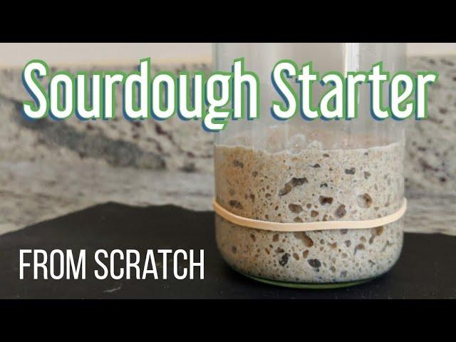 How to Make a Sourdough Starter (with Rye Flour)