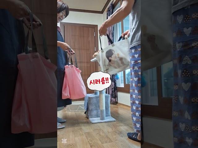 방울이의 선택은요 .. #농부고양이집사 #시골고양이 #쇼핑백놀이
