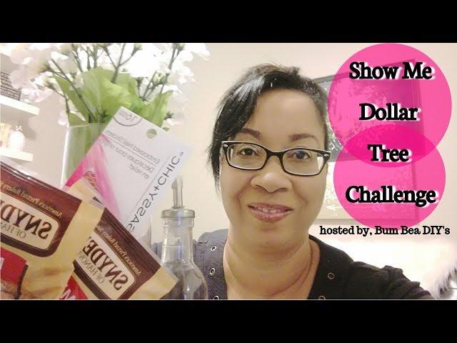 THE 10 BEST THINGS TO BUY FROM DOLLAR TREE || BUM BEA DIY's SHOW ME DOLLAR TREE CHALLENGE