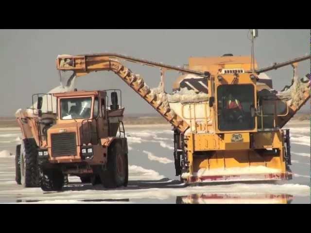 Salt harvesting in Walvis Bay, Namibia