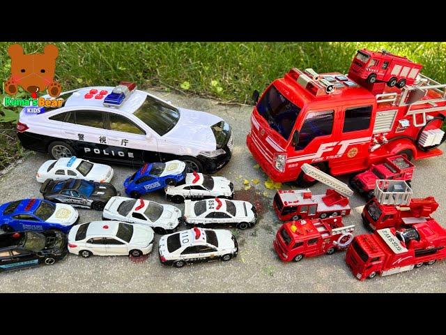 Fire Truck VS Police Cars! Let's Look for Diecast Cars...Emergency Vehicle Stories【Kuma's Bear Kids】