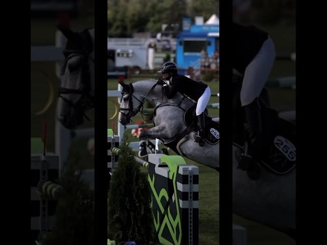 This horse-  #fypageシ #equestrian #viralvideo #rideforoscar #ride4pooky #trending #shortsfeed