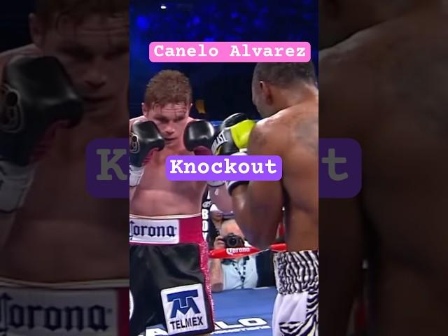 Canelo Alvarez punch 