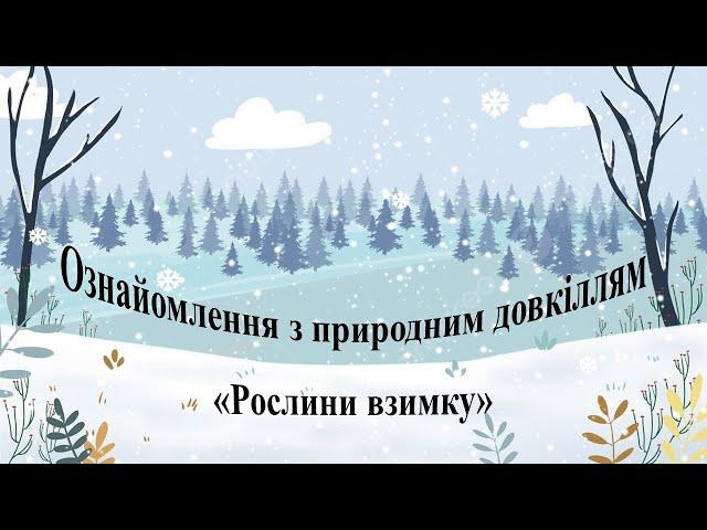 Ознайомлення з природним довкіллям "Рослини взимку". Середня група