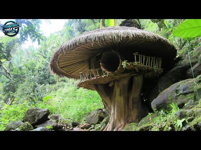 The Majestic Bamboo Haven: Building a Masterpiece on a Giant Tree Stump@bushcraftandnature