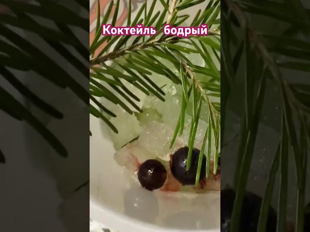 Пробуем КОКТЕЙЛЬ БОДРЫЙ РУССКИЙ/жизнь Московской семьи #коктейли #еда #рецепт #russiacityvlog  #влог