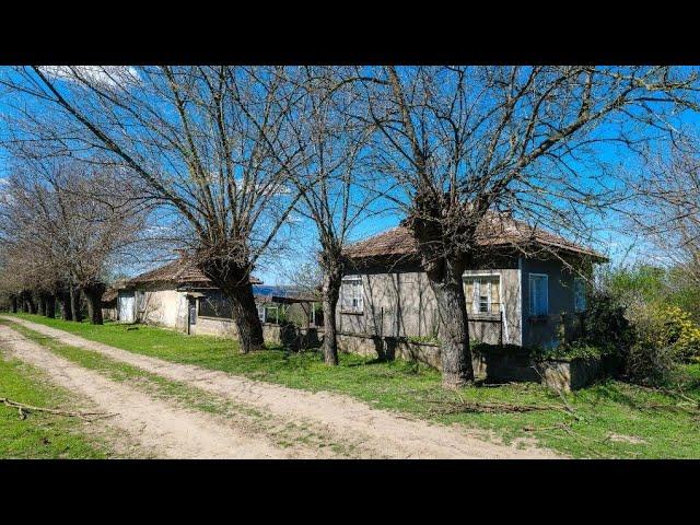 OUR BULGARIAN HOUSE TOUR