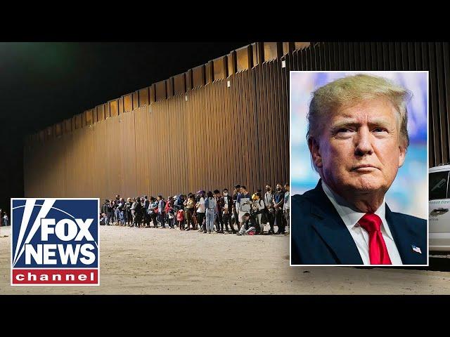 'DON'T TEST US': Trump team issues warning to Dems resisting immigration crackdown