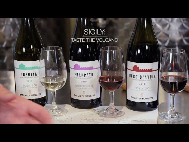 Tasting Volcanic Italian Wines of Sicily