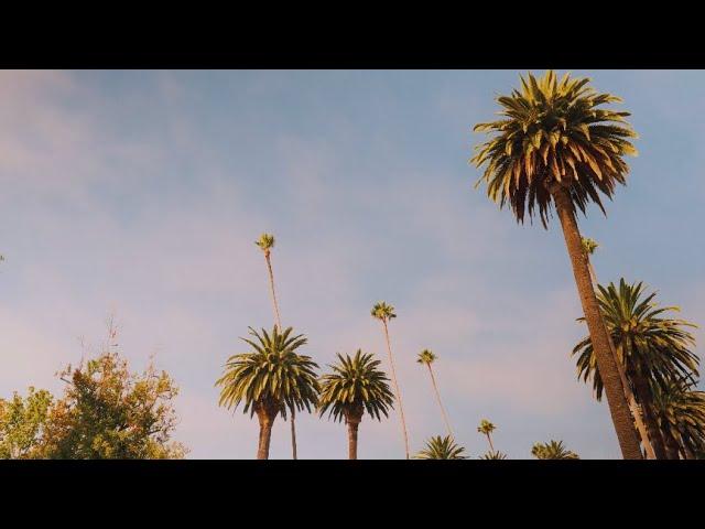 Los Angeles | A film by hanzfaro