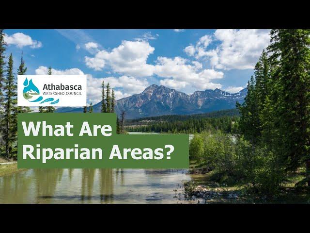 What are Riparian Areas?