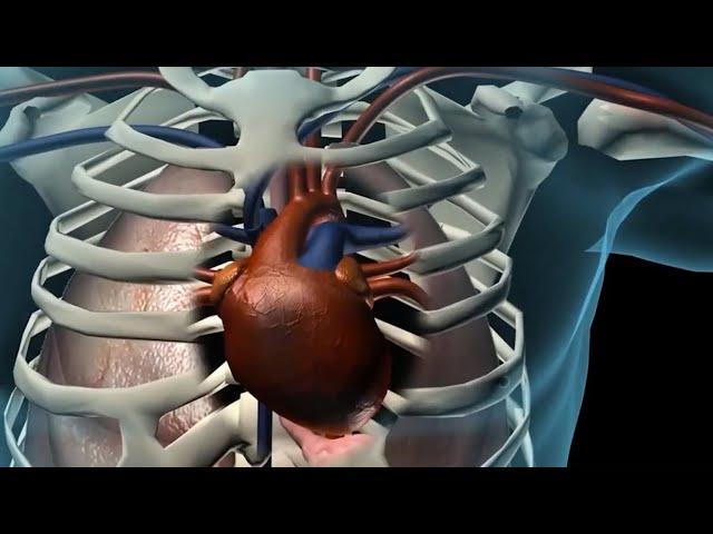 Diagnosing Heart Failure with NT-proBNP