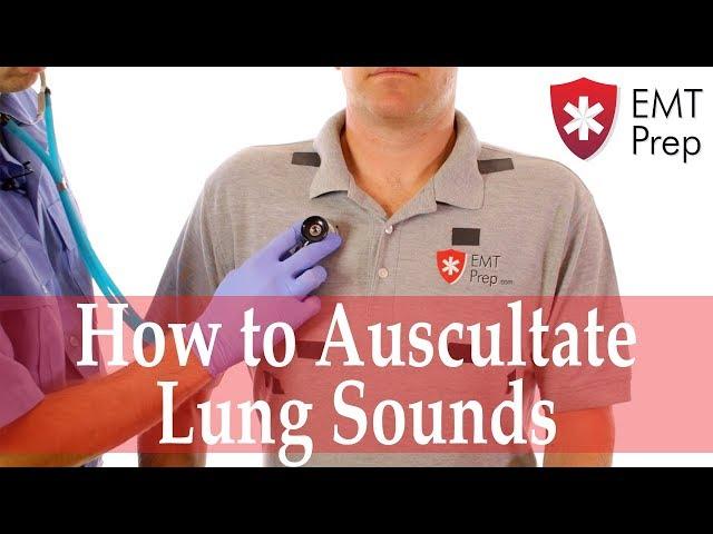 How to Auscultate Lung Sounds - EMTprep.com