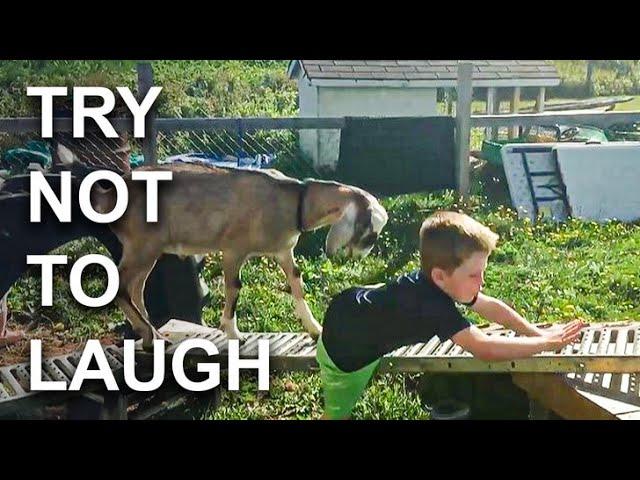 Best Fails Of The Week  Try Not To Laugh