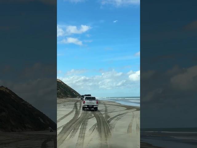 What a 4x4 lineup  #jeep #shorts #youtubeshorts #beach #offroad