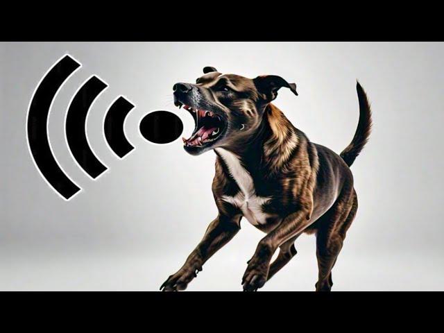 Dog Barking | Dog Barking Sound Effect | Kutte Ki Awaaz