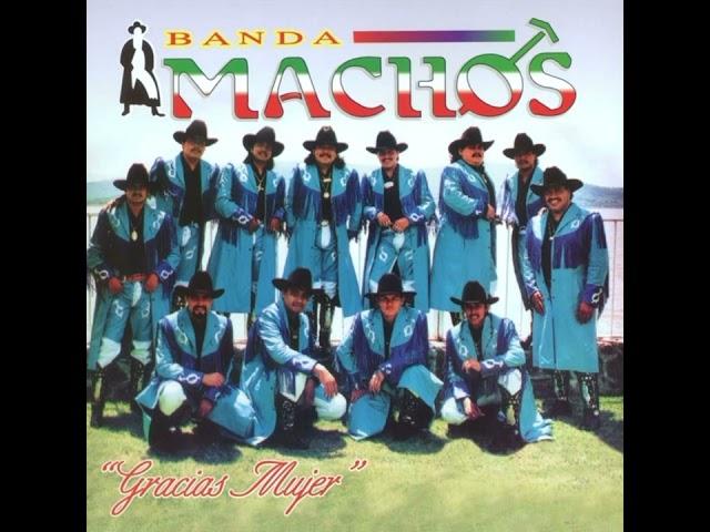 Mano a mano banda maguey vs banda machos