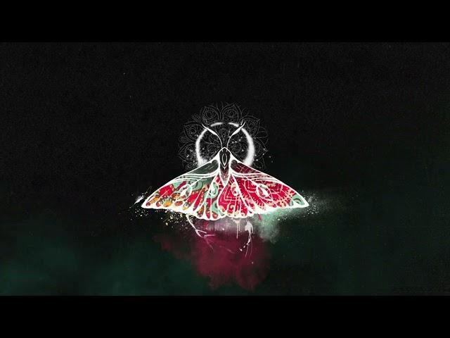 JANAGA & TENCA — Мотылек (Lyric Video)