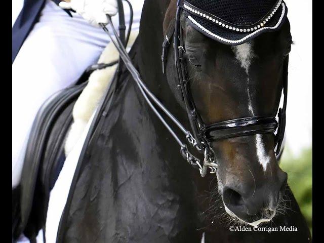 Allison Brock and Rosevelt  Perform Elegant Dressage Freestyle.