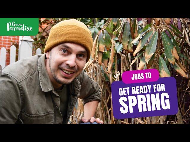 Tropical garden jobs to get ready for spring | Cutting back, planting & learning