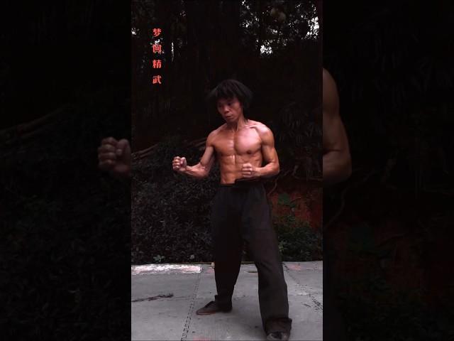 JINGWU KUNGFU Three moves Two Styles WORKOUTS #kungfu #martialarts #fitness