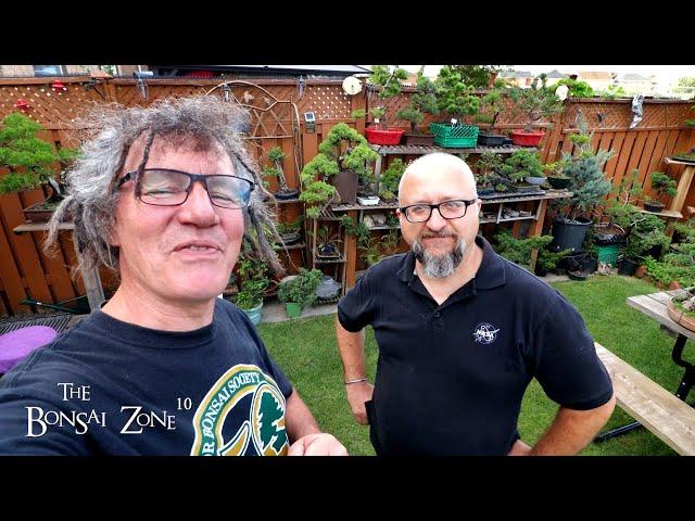 John's Backyard Bonsai Tour, Part 4/4, The Bonsai Zone, Aug 2023