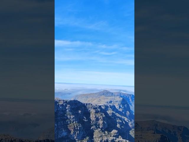 ️ Table Mountain: Cape Town’s Breathtaking Wonder! #shorts #travel #tablemountain