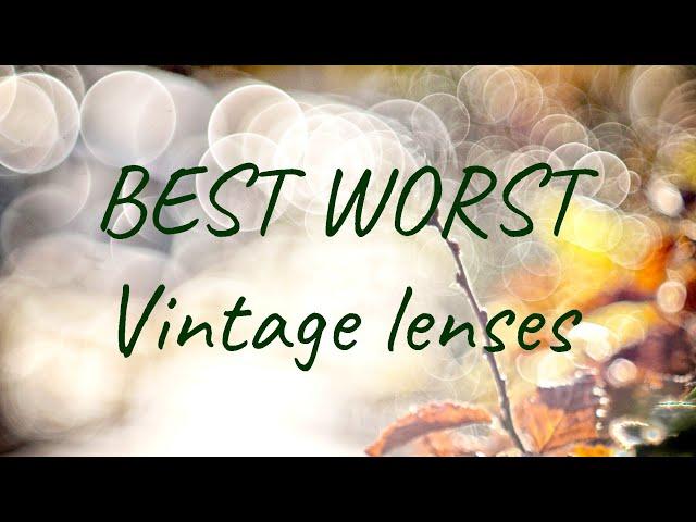 BEST WORST vintage lenses.  My Top 5 picks!  What are yours?